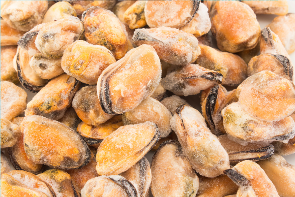 peut on congeler des moules